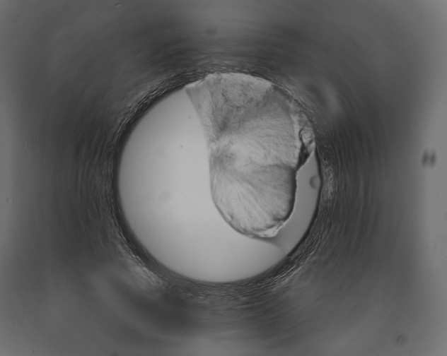 X0000090910737200708271004