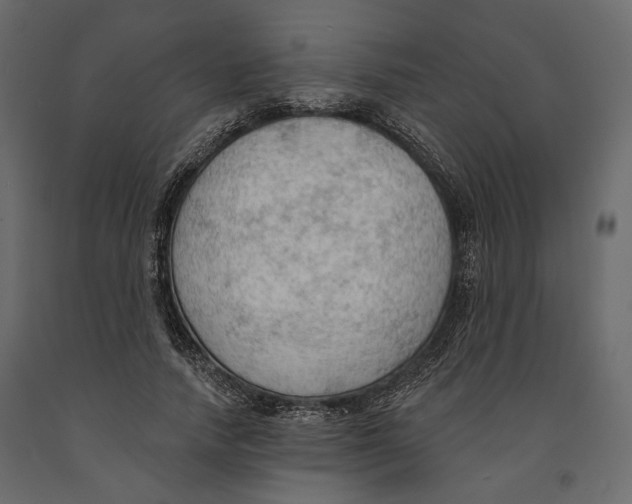 X0000090910738200708271004