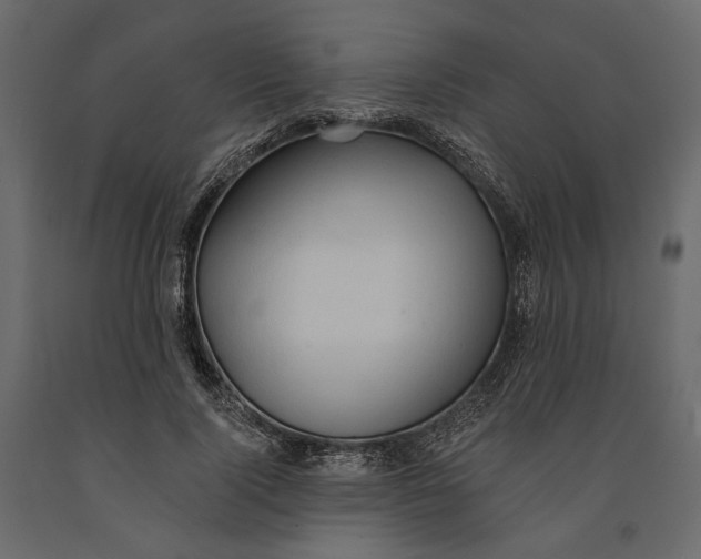 X0000090910740200708271004