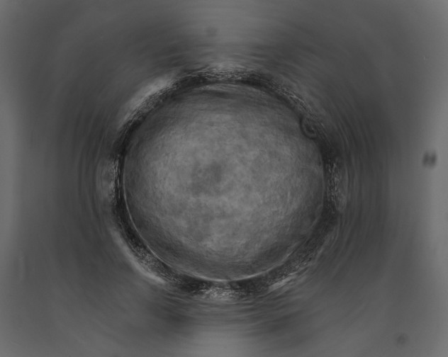 X0000090910742200708271004