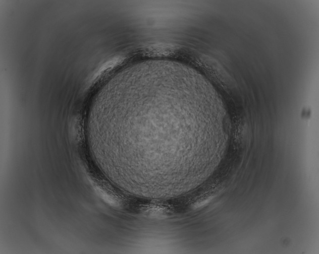 X0000090910743200708271004