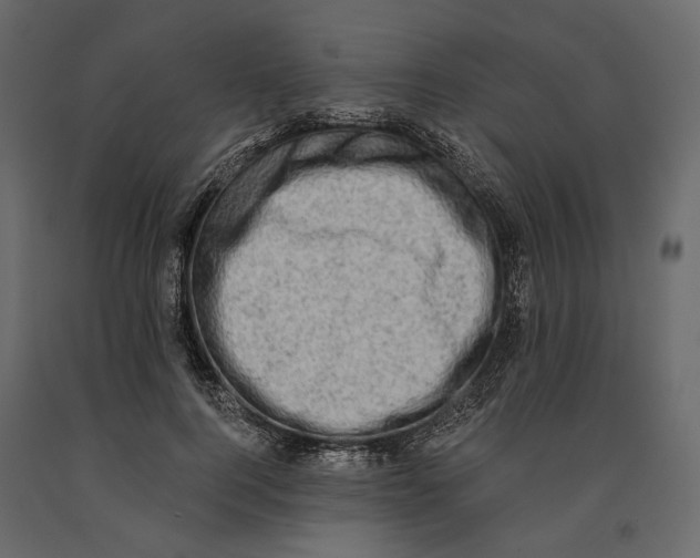 X0000090910744200708271004