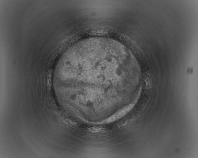 X0000090910745200708271004