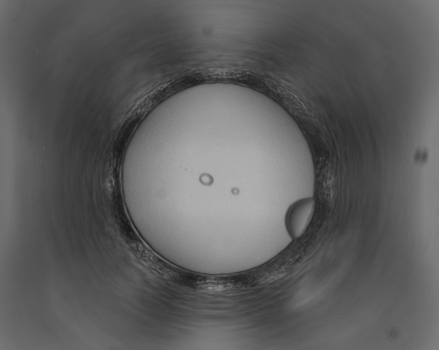 X0000090910746200708271004