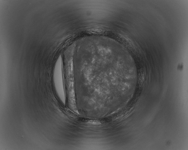 X0000090910749200708271004