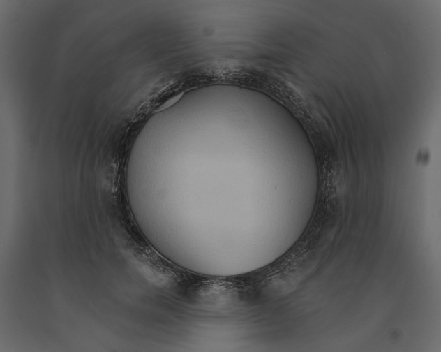 X0000090910750200708271004