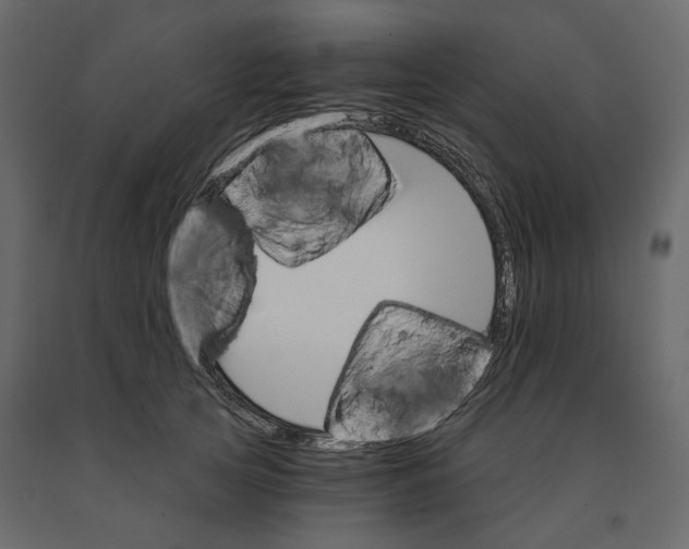 X0000090910753200708271004