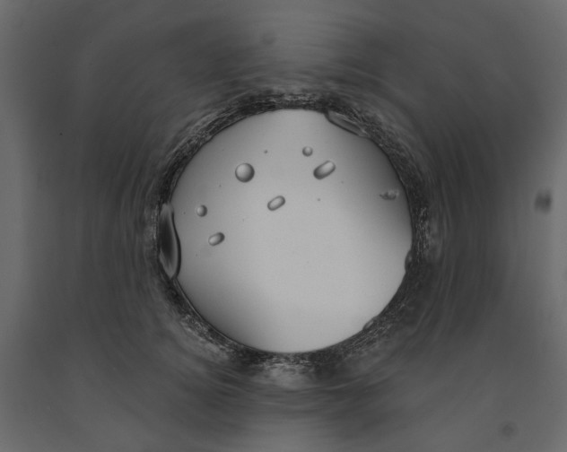 X0000090910756200708271004