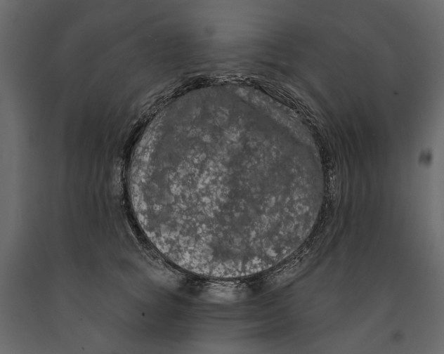 X0000090910757200708271004