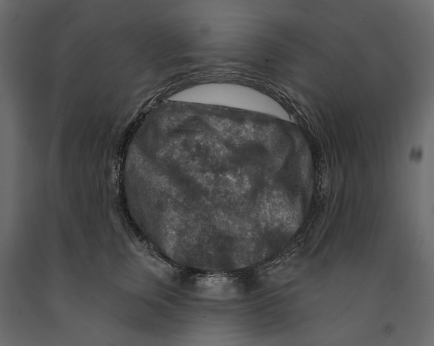 X0000090910759200708271004