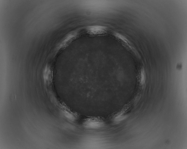 X0000090910763200708271004