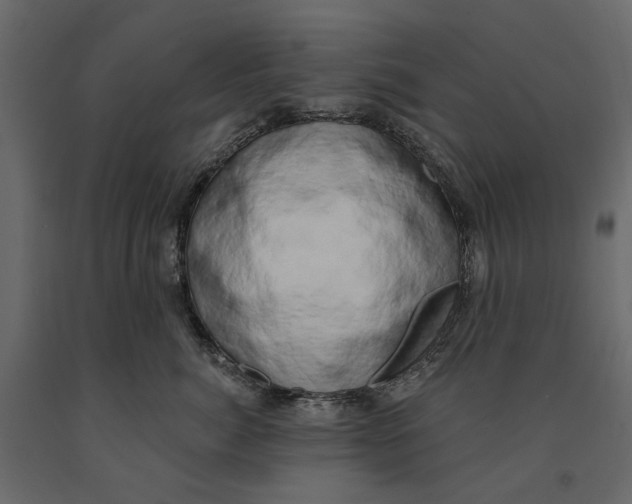 X0000090910764200708271004