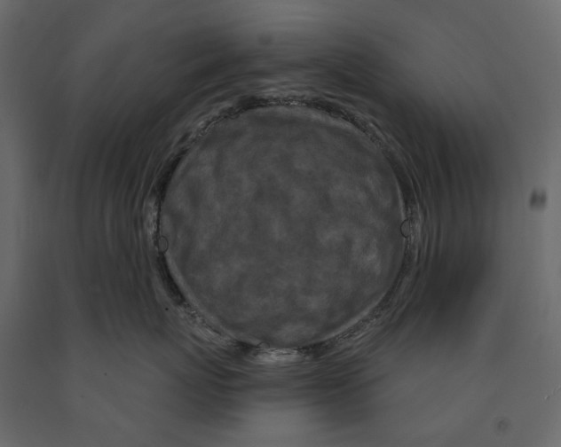 X0000090910767200708271004