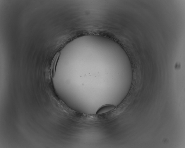 X0000090910768200708271004