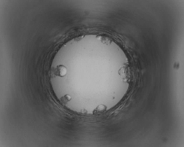 X0000090910769200708271004