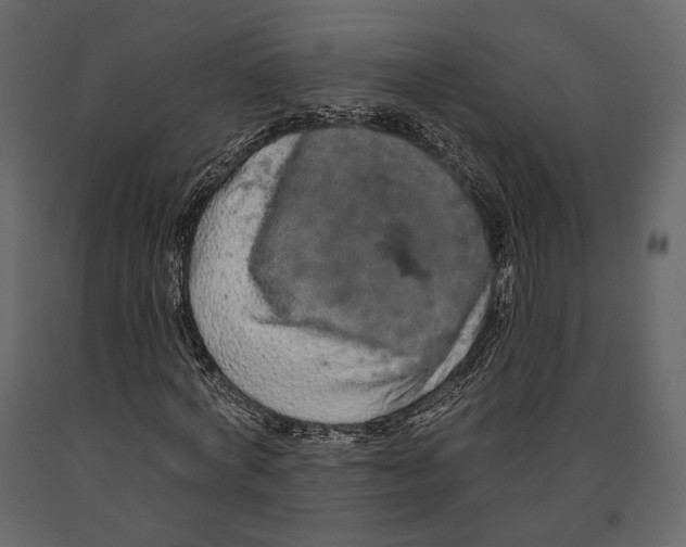 X0000090910772200708271004