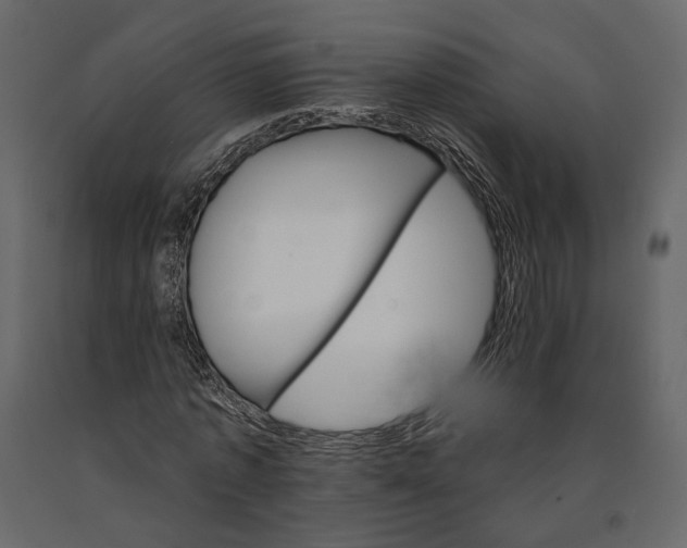 X0000090910773200708271004