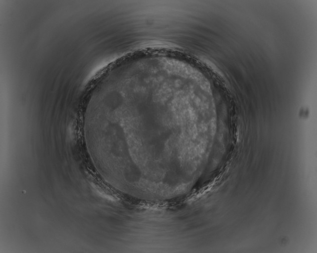 X0000090910775200708271004