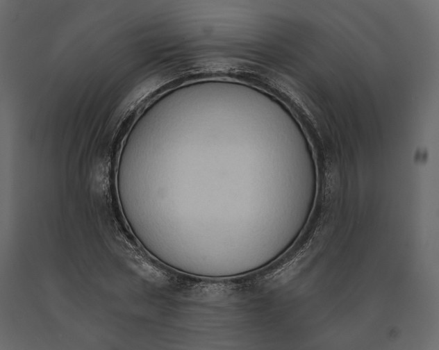 X0000090910778200708271004