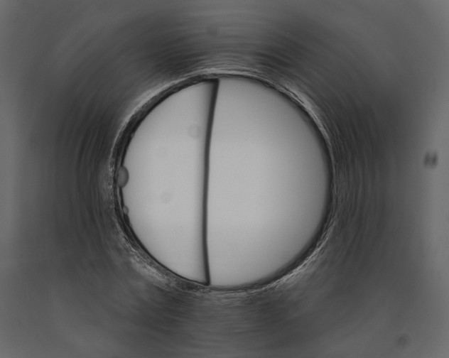 X0000090910779200708271004