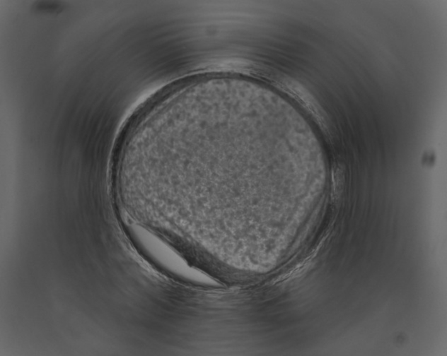 X0000090910780200708271004