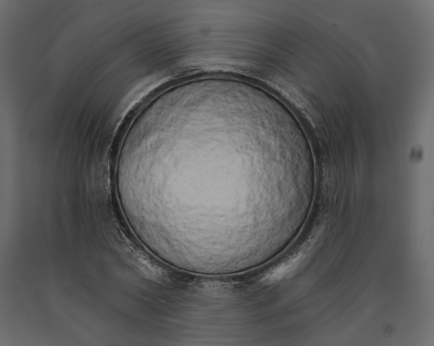 X0000090910782200708271004