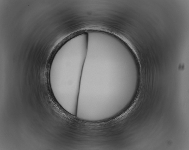 X0000090910783200708271004