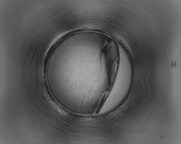 X0000090910784200708271004