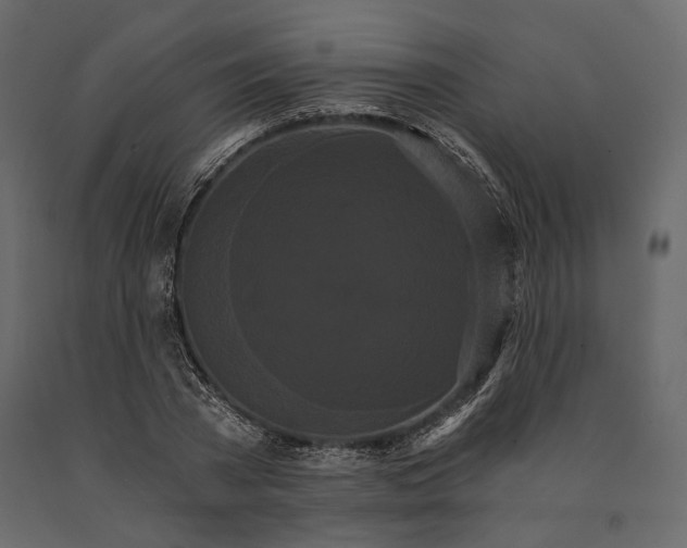 X0000090910785200708271004