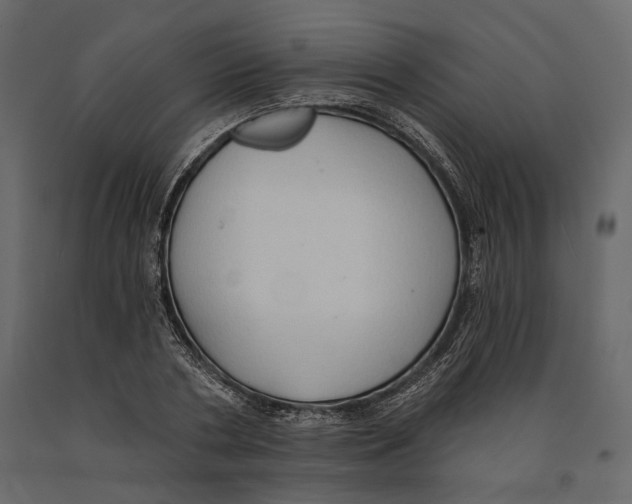 X0000090910786200708271004