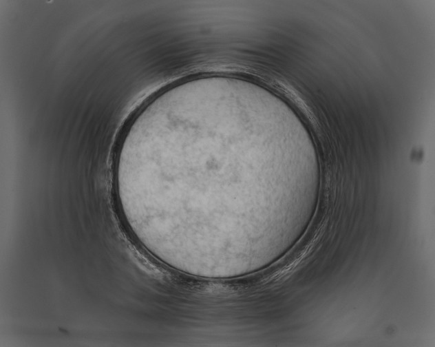 X0000090910787200708271004