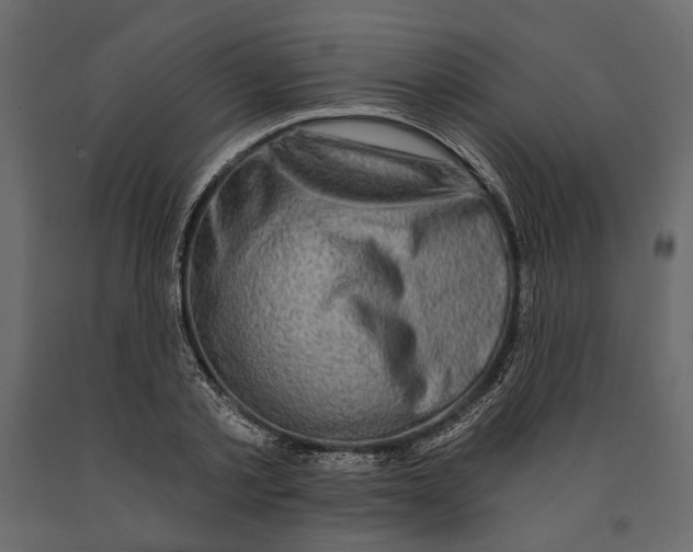 X0000090910789200708271004