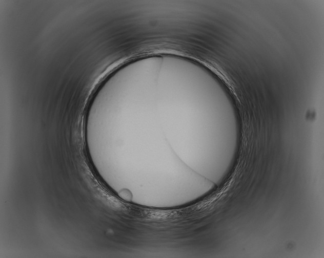 X0000090910790200708271004