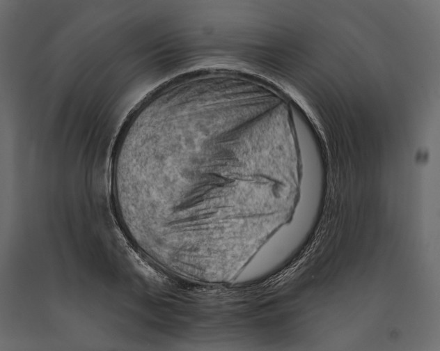 X0000090910791200708271004