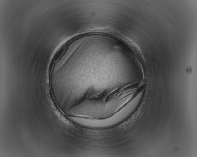 X0000090910792200708271004