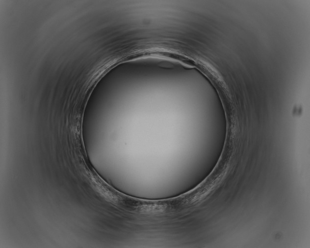 X0000090910793200708271003