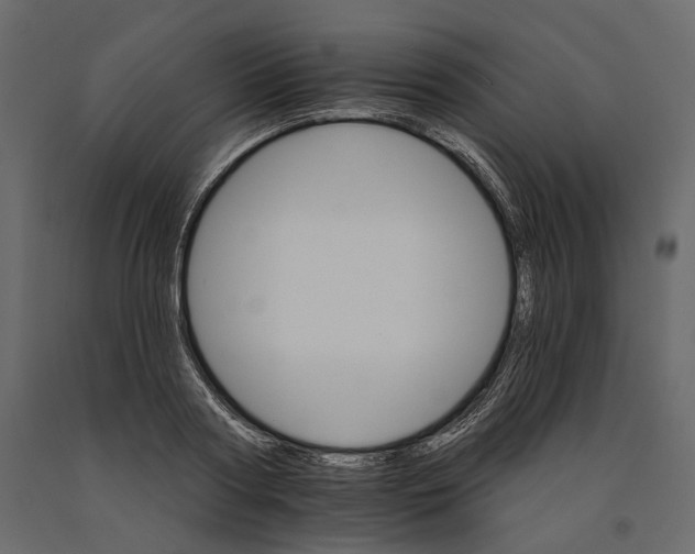 X0000090910794200708271003