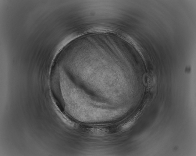 X0000090910795200708271003