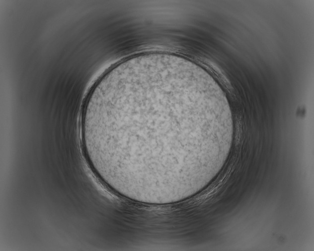 X0000090910796200708271003