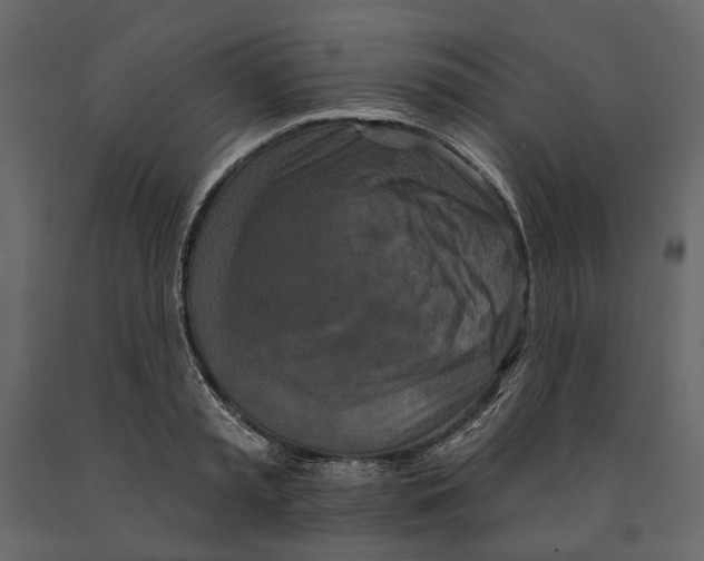 X0000090910797200708271003