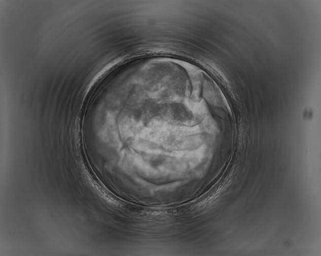 X0000090910798200708271003