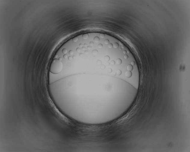 X0000090910799200708271003