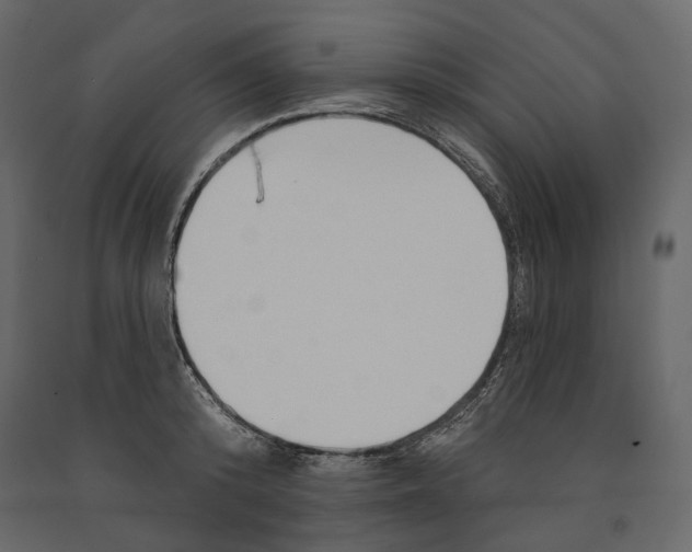 X0000090910800200708271003