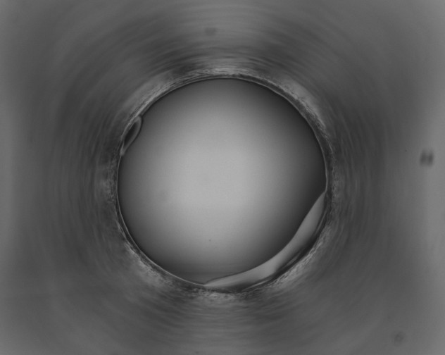 X0000090910801200708271003