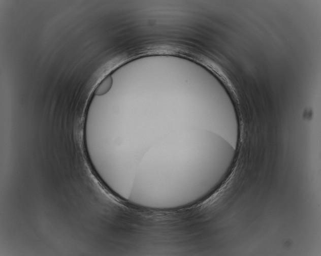 X0000090910802200708271003