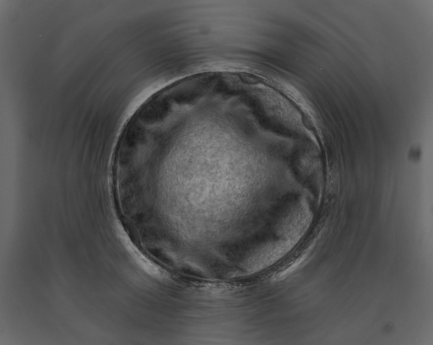 X0000090910803200708271003