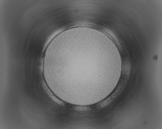 X0000090910804200708271003