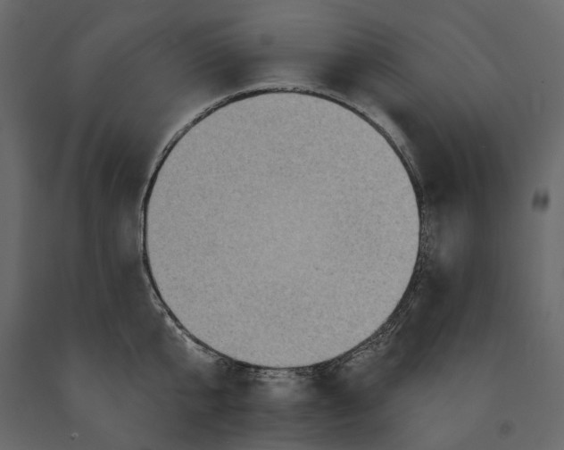 X0000090910807200708271003