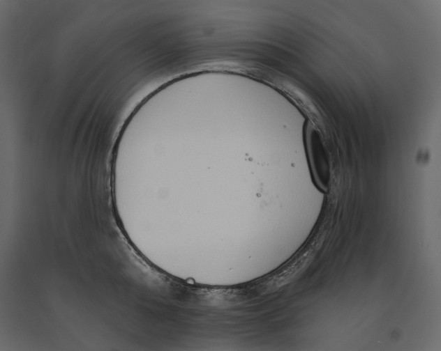 X0000090910808200708271003