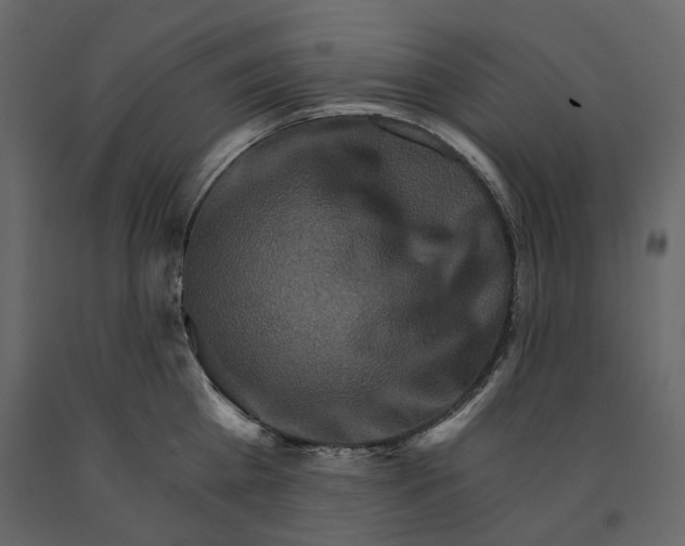 X0000090910809200708271003